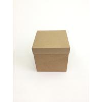15x15x15 Komple Kraft Kutu