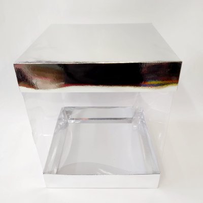 25x25x30 Gümüş Kutu